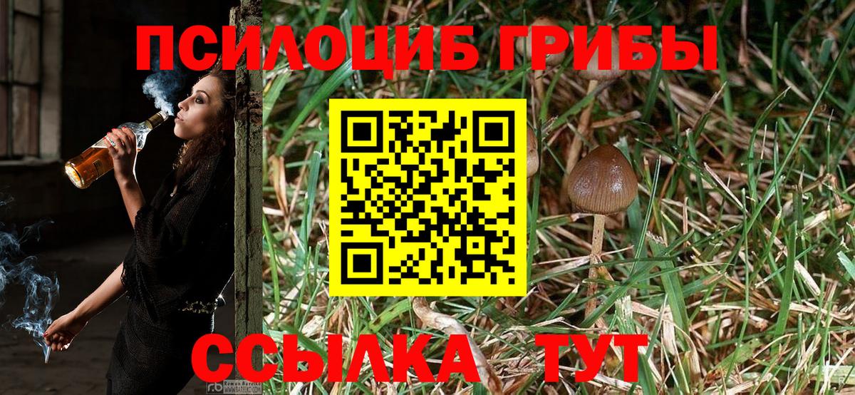 Псилоцибиновые грибы Magic Shrooms  купить наркотики цена  Вход с VPN  Таганрог  Галлюциногенные грибы Psilocybe 